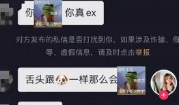 分手网红互相爆料视频,视频爆料背后的真相与情感纠葛