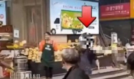 城管爆料视频大全最新,揭秘城市管理背后的故事