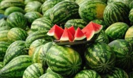 山西网红吃瓜事件视频最新,揭秘背后真相与争议