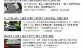 广西生活爆料视频,短视频带你领略八桂大地风土人情
