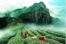 武夷山最近爆料新闻事件,最新爆料揭秘真相