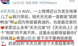 娱乐吃瓜口播文案简短一点,娱乐圈最新瓜料速递