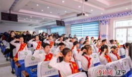 沈阳小学爆料事件最新,揭开校园安全与管理的隐秘面纱