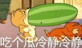 老板爆料杰瑞视频播放,杰瑞视频播放背后的惊人真相