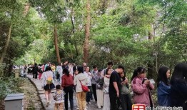 福州鼓山爆料事件视频,视频揭露惊人真相