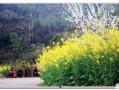 风景最新爆料图片,最新风景图片惊艳亮相