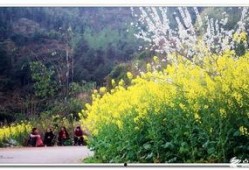 风景最新爆料图片,最新风景图片惊艳亮相