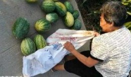 句容的吃瓜最新事件爆料,揭秘最新爆料背后的真相与争议”