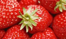 草莓果冻爆料视频下载安装,揭秘下载安装全过程