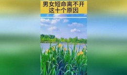 绿茶爆料小故事大全视频,揭秘小故事大全背后的精彩瞬间