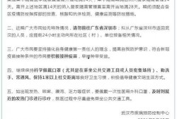 深圳波哥最新爆料视频,最新爆料视频深度解析
