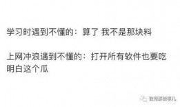 吃瓜之王知乎免费阅读全文