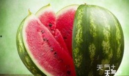 qq吃瓜网红群,网络舆论场中的“瓜田”风云