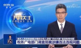 新闻爆料会查吗是真的吗,揭秘“是真的吗”背后的真相