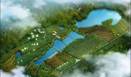 闽侯新闻爆料网最新消息,最新动态盘点，揭秘闽侯热点事件！