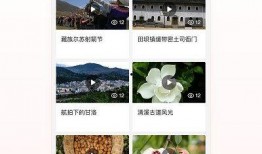 发热点爆料视频下载网站,一键获取热门视频资源