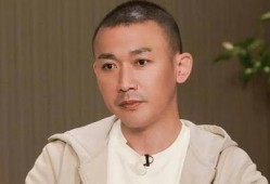 聂远爆料娱乐圈,真实与虚幻的交织