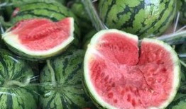 被吃瓜害了的网红有哪些,揭秘网络暴力下的受害者