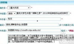 四川新闻爆料投稿入口,见证城市变迁，共筑美好家园