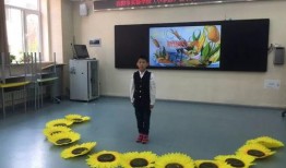 沈阳小学爆料事件最新,揭开校园安全与管理的隐秘面纱