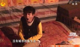 变形记在线观看,一场跨越时空的奇幻之旅