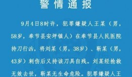央视新闻爆料政府吗,真相与启示