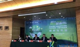 新都大丰新闻爆料,揭秘当地最新热点事件
