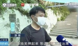 网红吃瓜情侣是谁啊,他们的甜蜜瓜田故事
