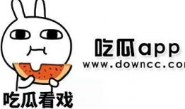 吃瓜最新合集在线观看免费,免费在线观看，揭秘娱乐圈幕后真相