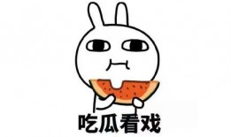 免费吃瓜群靠什么红包,红包背后的神秘力量