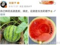 可以吃娱乐圈的瓜吗,揭秘明星幕后故事