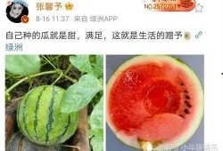 可以吃娱乐圈的瓜吗,揭秘明星幕后故事