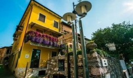 新闻爆料枫丹小镇事件,揭秘神秘社区背后的真相