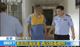 日本吸毒爆料视频大全,爆料视频大全深度剖析