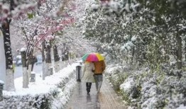 昆明爆料下雪事件视频最新,市民欢声笑语迎瑞雪