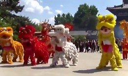 舞狮子表演视频爆料软件,独家视频爆料带你领略传统民俗魅力