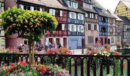 新闻爆料枫丹小镇事件,揭秘神秘社区背后的真相