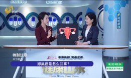 河北电台爆料新闻直播回放