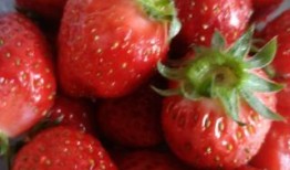 草莓果冻爆料视频下载安装,揭秘下载安装全过程