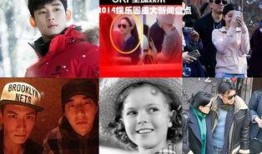 娱乐圈爆料2014,年度热点事件大盘点