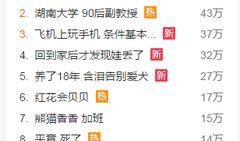 封面新闻如何爆料,揭秘爆料流程，助力公众知情权