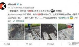 网友小黑爆料的视频在线观看,在线观看背后的惊人真相