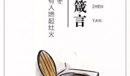 娱乐吃瓜口播文案简短一点,娱乐圈最新瓜料速递