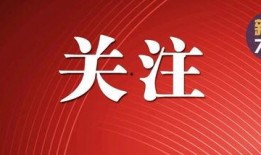 辽宁最新爆料新闻报道,揭秘重大事件背后真相
