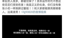黄景瑜老婆爆料视频播放,揭秘夫妻生活幕后真相